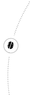 2018 — Rebrand as Trung Nguyen Legend